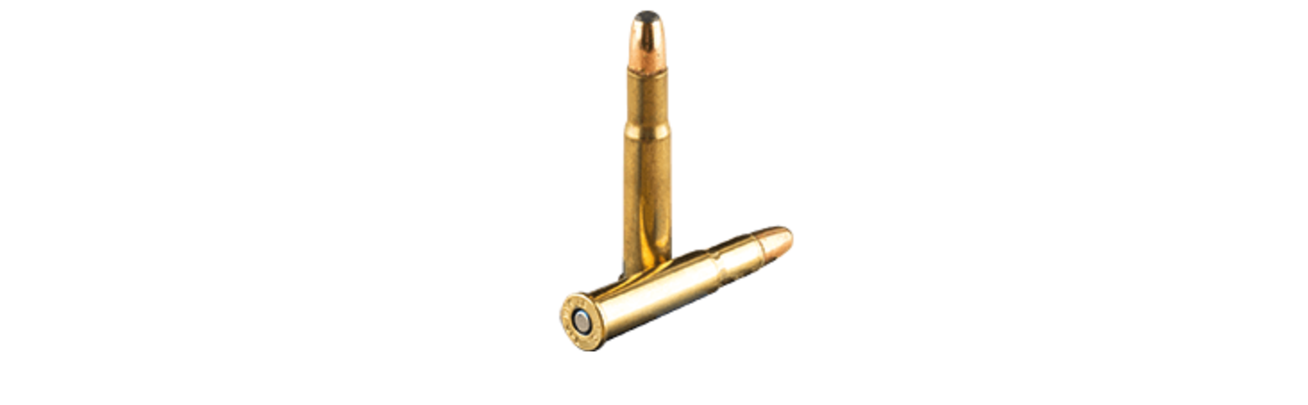 Screenshot 2026-08-22 at 3.10.10 PM REMINGTON CORE LOKT 32 WIN SPECIAL 170GR SP AMMO 20RDS