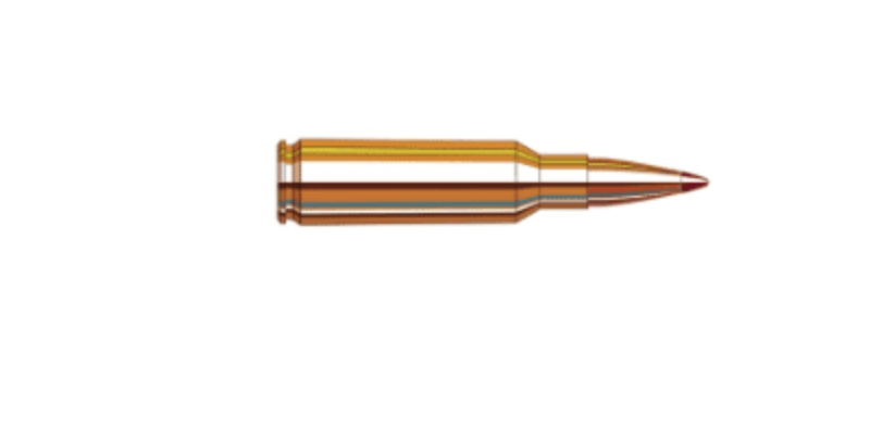 FEDERAL PREMIUM 30-06 SPRG 180GR NOSLER PARTITION AMMO 20RDS