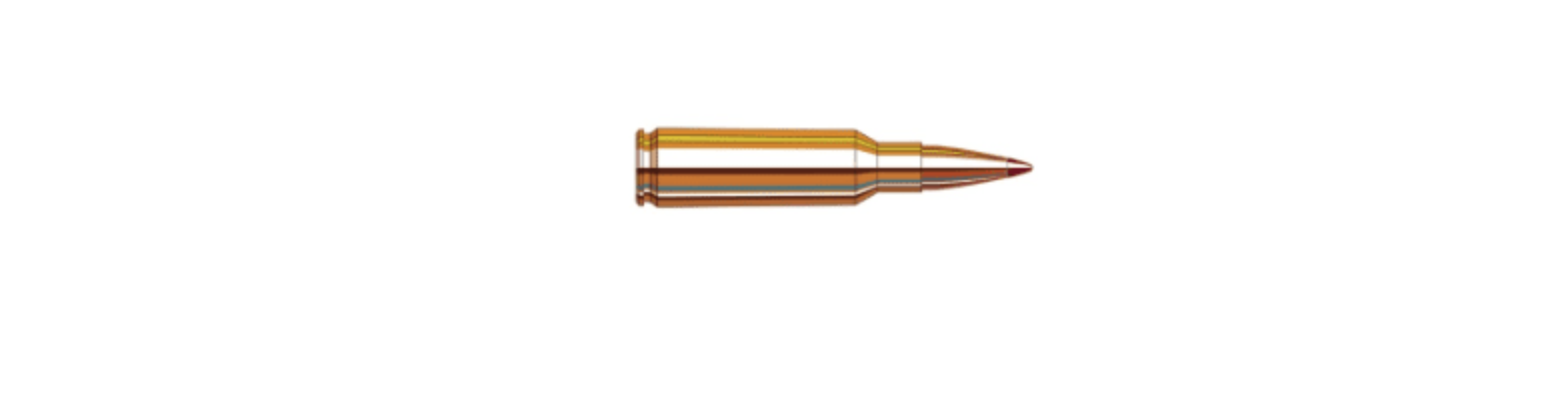 HSM 300 REM SAUM 180GR GAME KING AMMO 20RDS