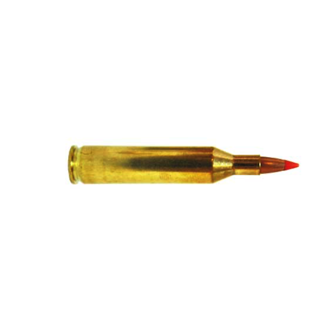 Screenshot 2026-08-24 at 2.19.00 PM NOSLER 17 REMINGTON 20GR VARMAGEDDON AMMO 20RDS