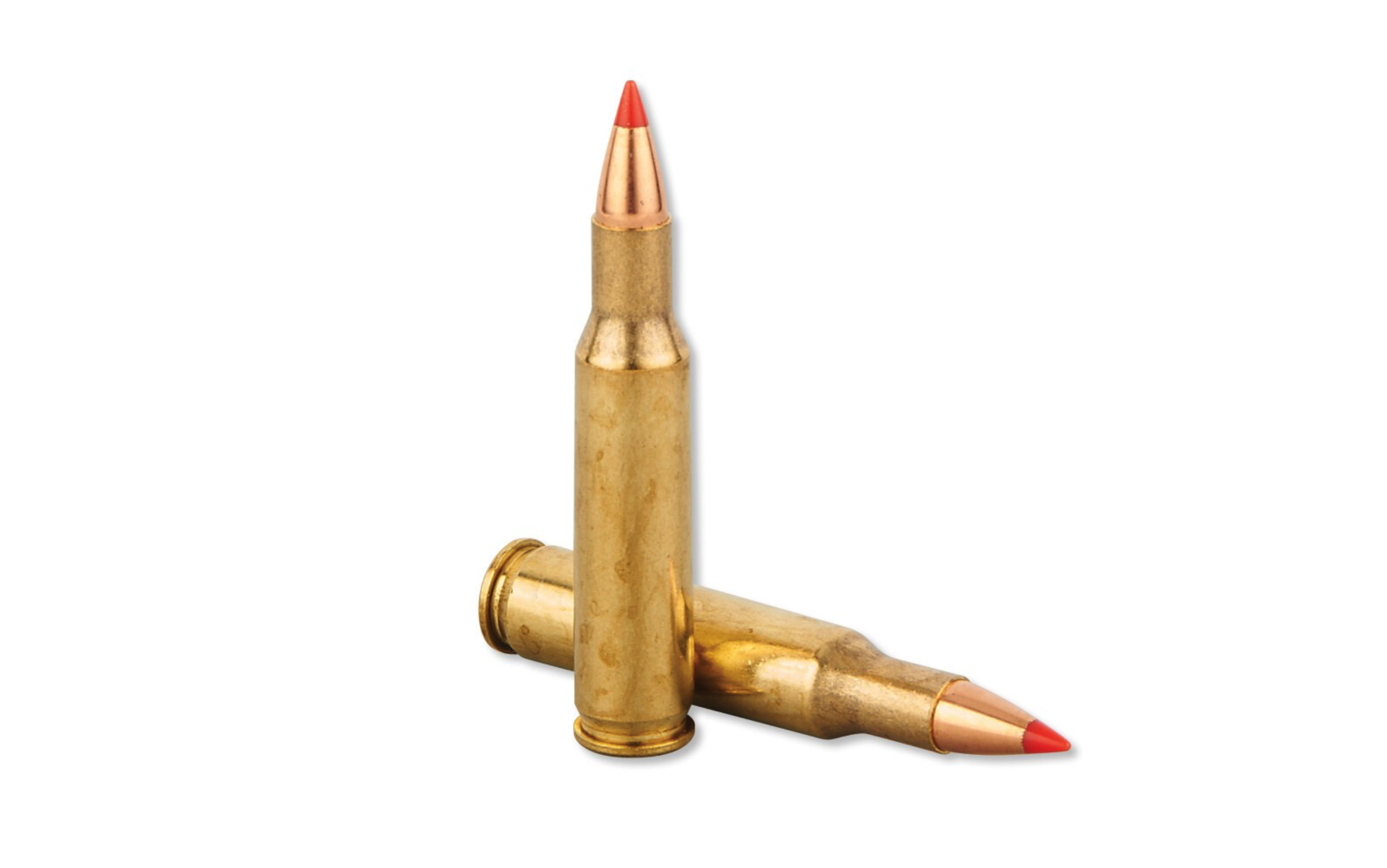 Screenshot 2026-08-24 at 2.21.57 PM REMINGTON HIGH PERFORMANCE 222 REMINGTON 50GR SP AMMO 20RDS