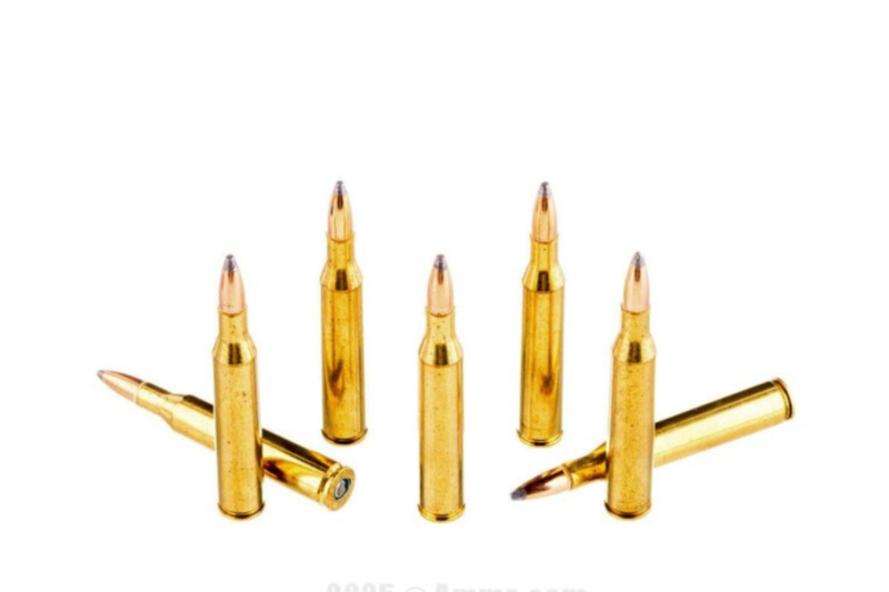 FEDERAL PREMIUM 30-06 SPRG 180GR NOSLER PARTITION AMMO 20RDS