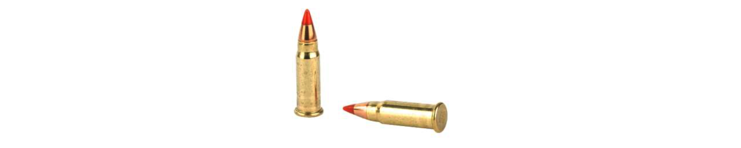 CCI VARMINT 17HM2 17GR 2010FPS AMMO 50RDS