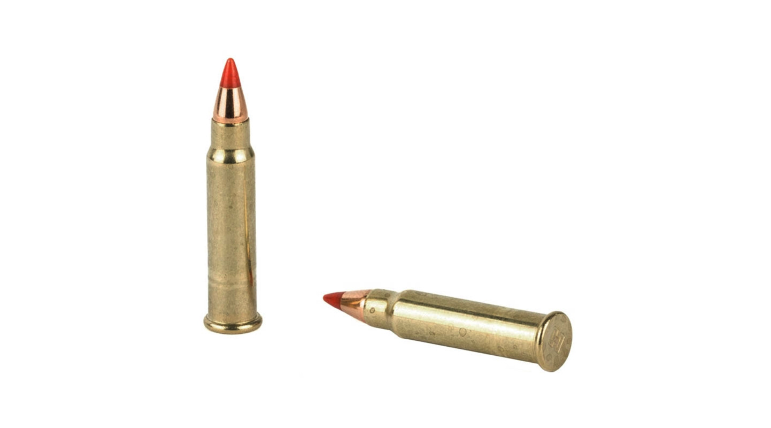 REMINGTON 17 HMR 17GR ACCUTIP-V BOAT TAIL AMMO 40RDS