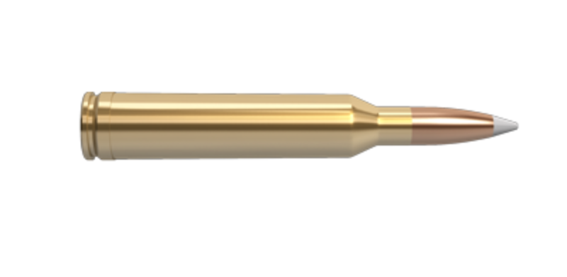 FEDERAL PREMIUM 30-06 SPRG 180GR NOSLER PARTITION AMMO 20RDS