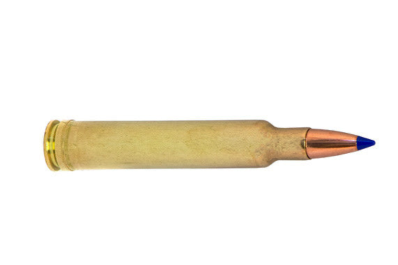 FEDERAL PREMIUM 30-06 SPRG 180GR NOSLER PARTITION AMMO 20RDS