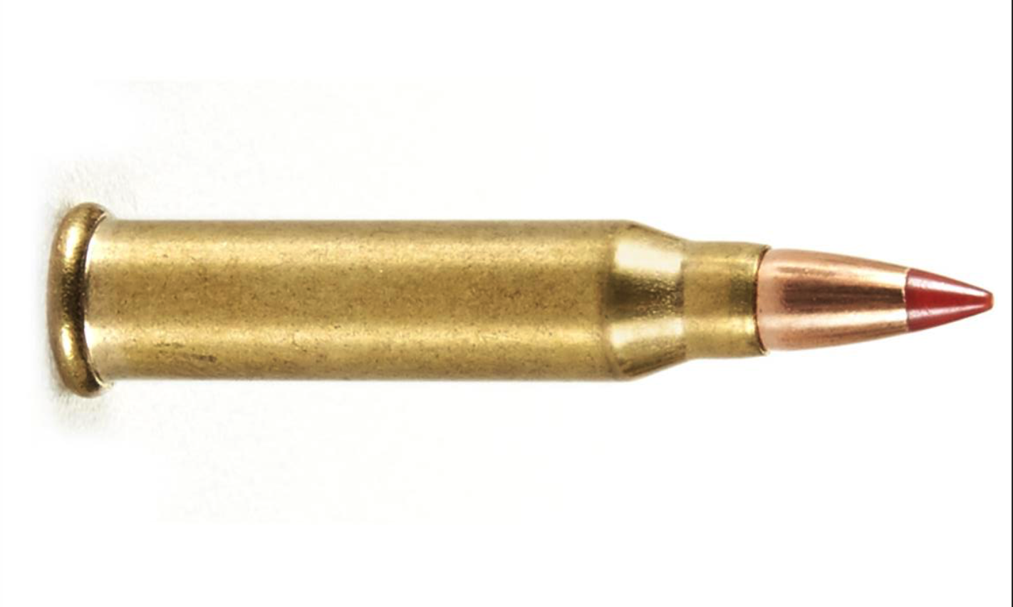 HORNADY 17WSM 20GR VMAX AMMO 50RDS