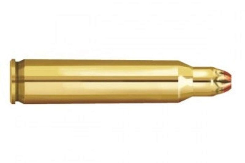 CCI 22 SHORT BLANKS 100CT